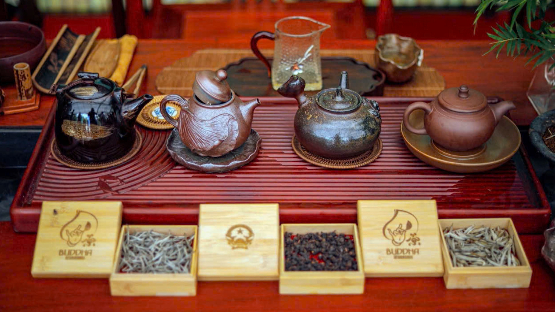 Lan tỏa hương trà Việt ra thế giới | Văn hóa và sự kiện | 23/06/2025