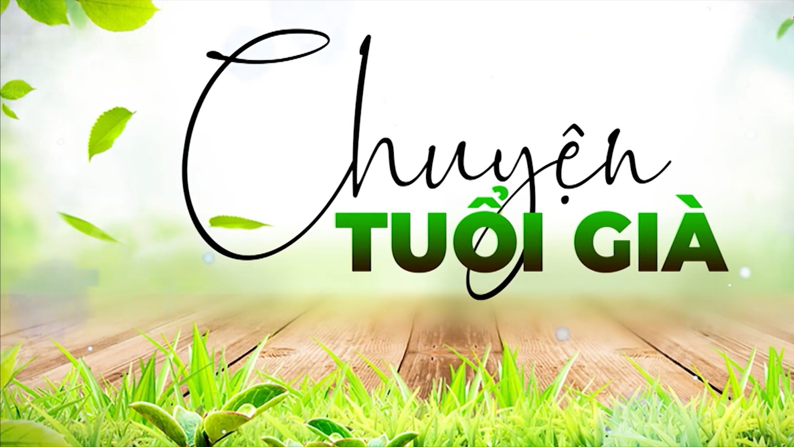 Sân chơi bổ ích rèn luyện sức khỏe | Chuyện tuổi già | 29/06/2025