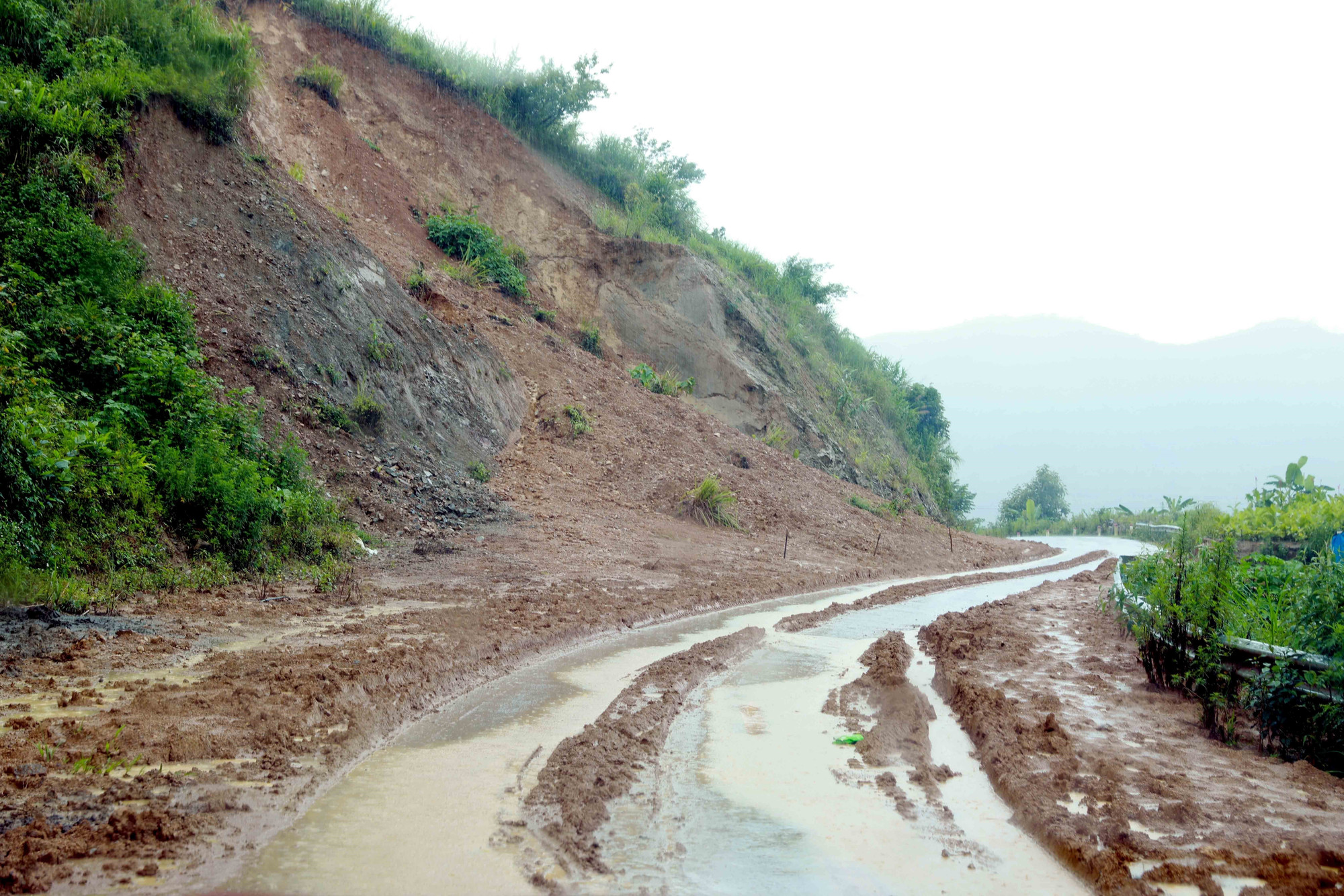 Đài PTTH Hà Nội