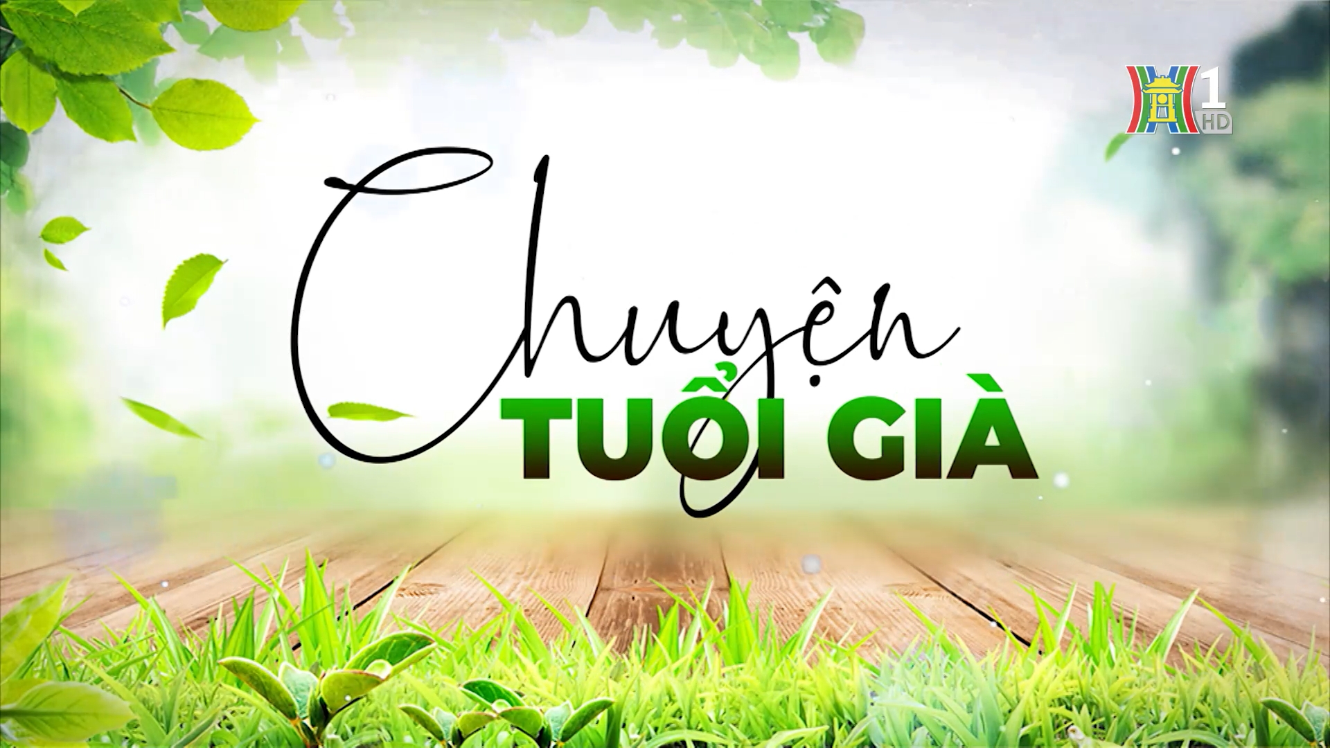 Thái cực quyền - môn thể thao phù hợp với người cao tuổi | Chuyện tuổi già | 13/07/2025