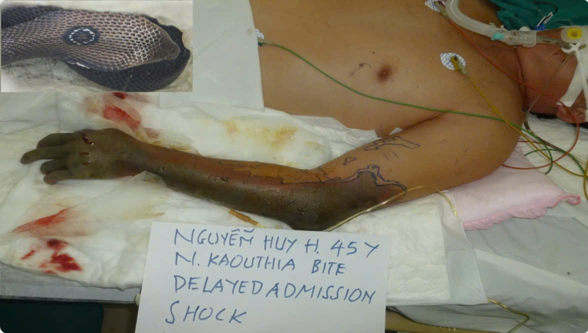 Đài PTTH Hà Nội