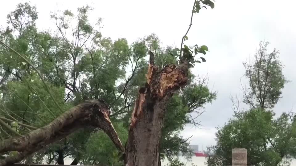 Đài PTTH Hà Nội