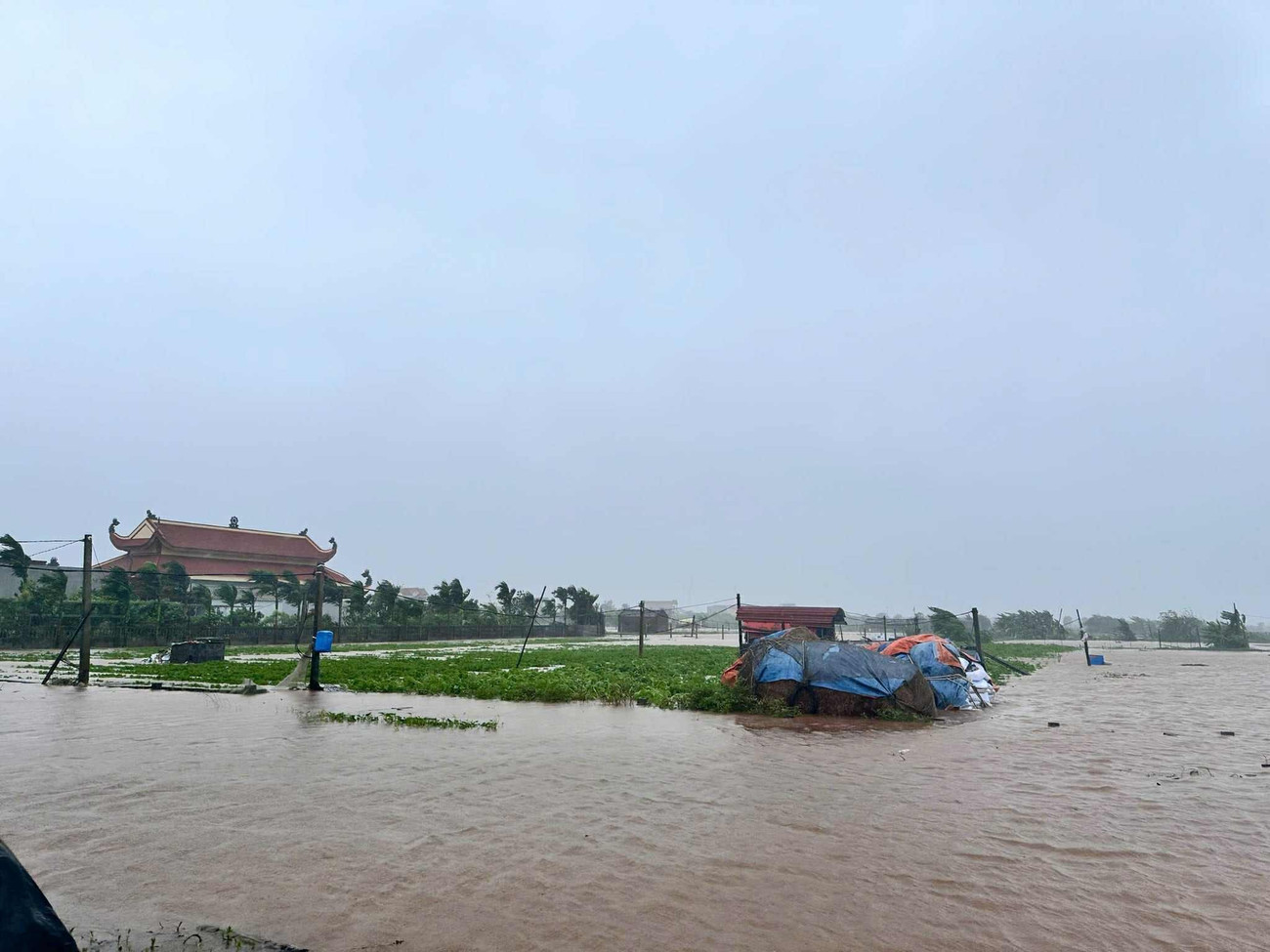 Đài PTTH Hà Nội