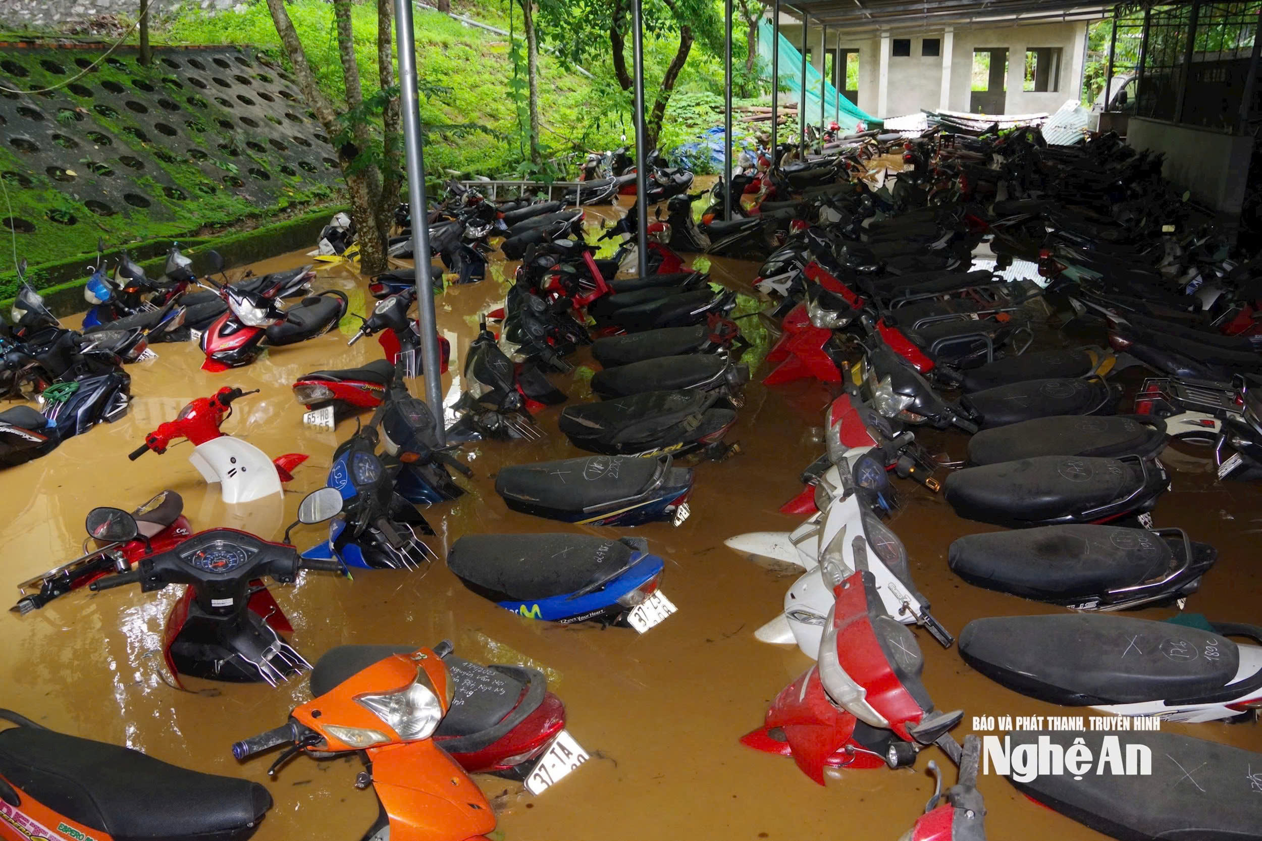 Đài PTTH Hà Nội