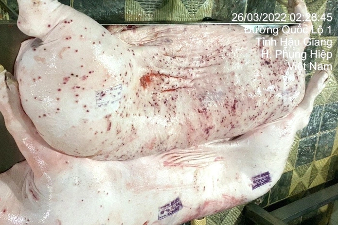 Đài PTTH Hà Nội