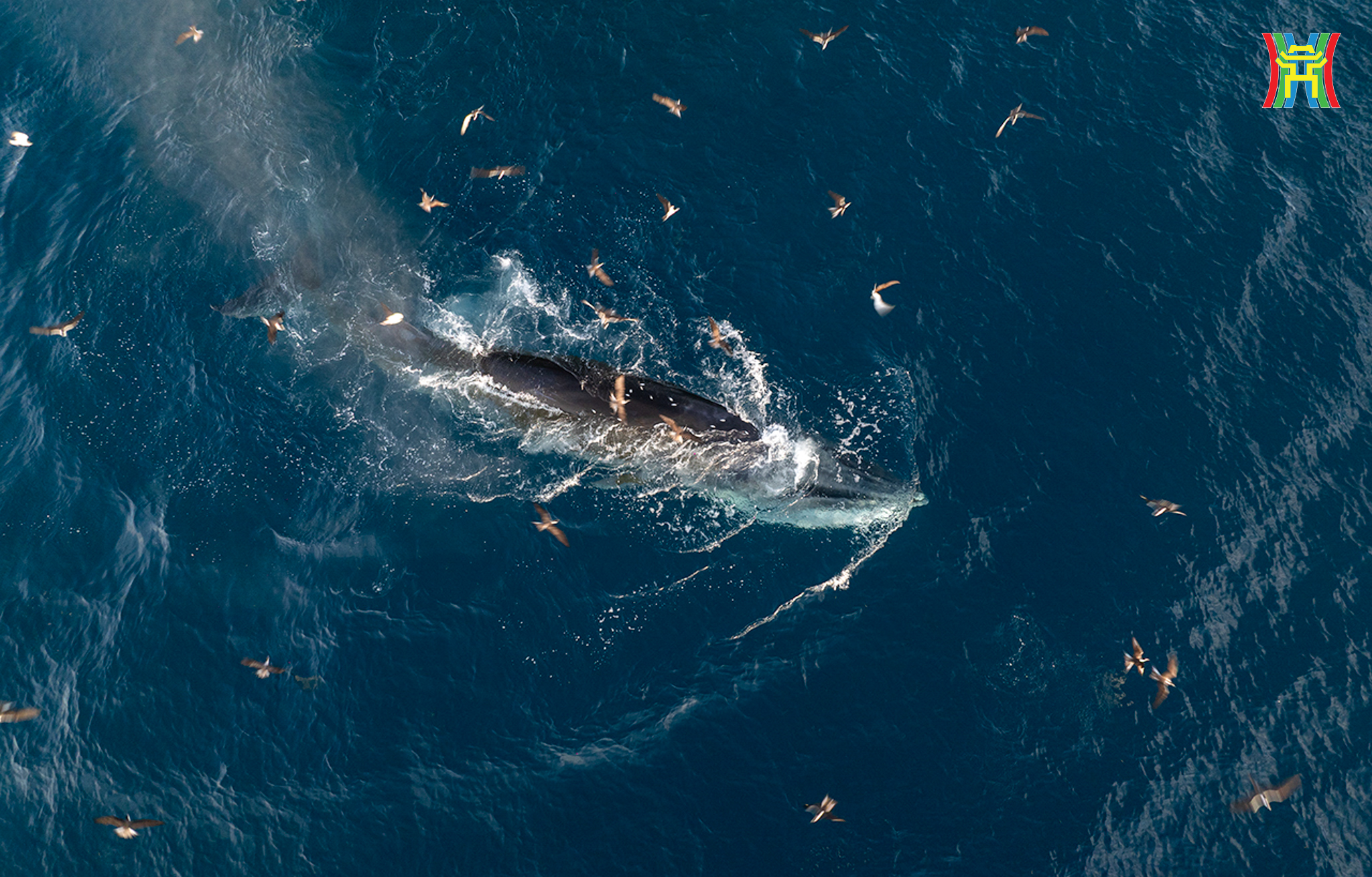 Đài PTTH Hà Nội