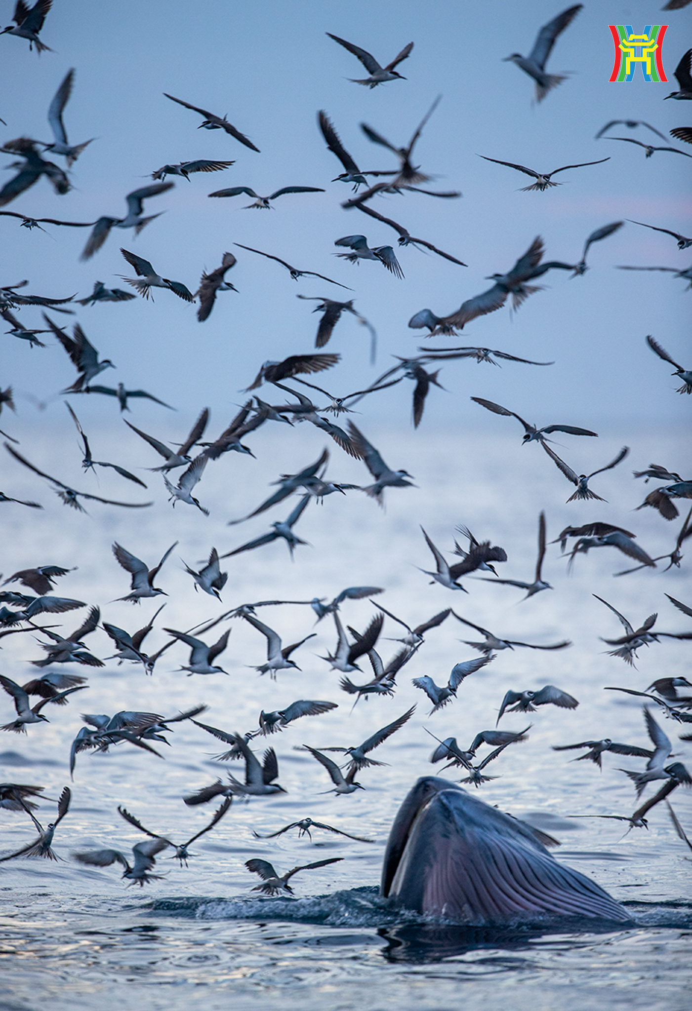 Đài PTTH Hà Nội