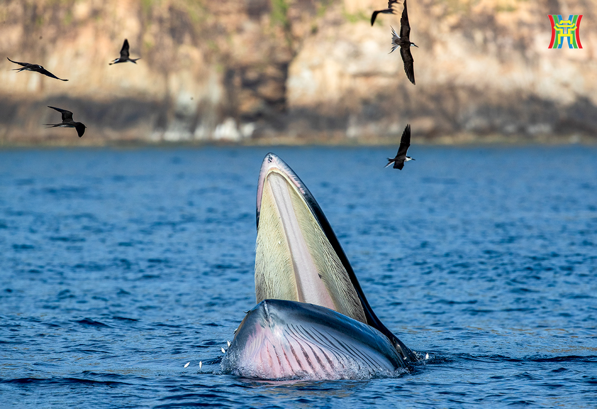 Đài PTTH Hà Nội