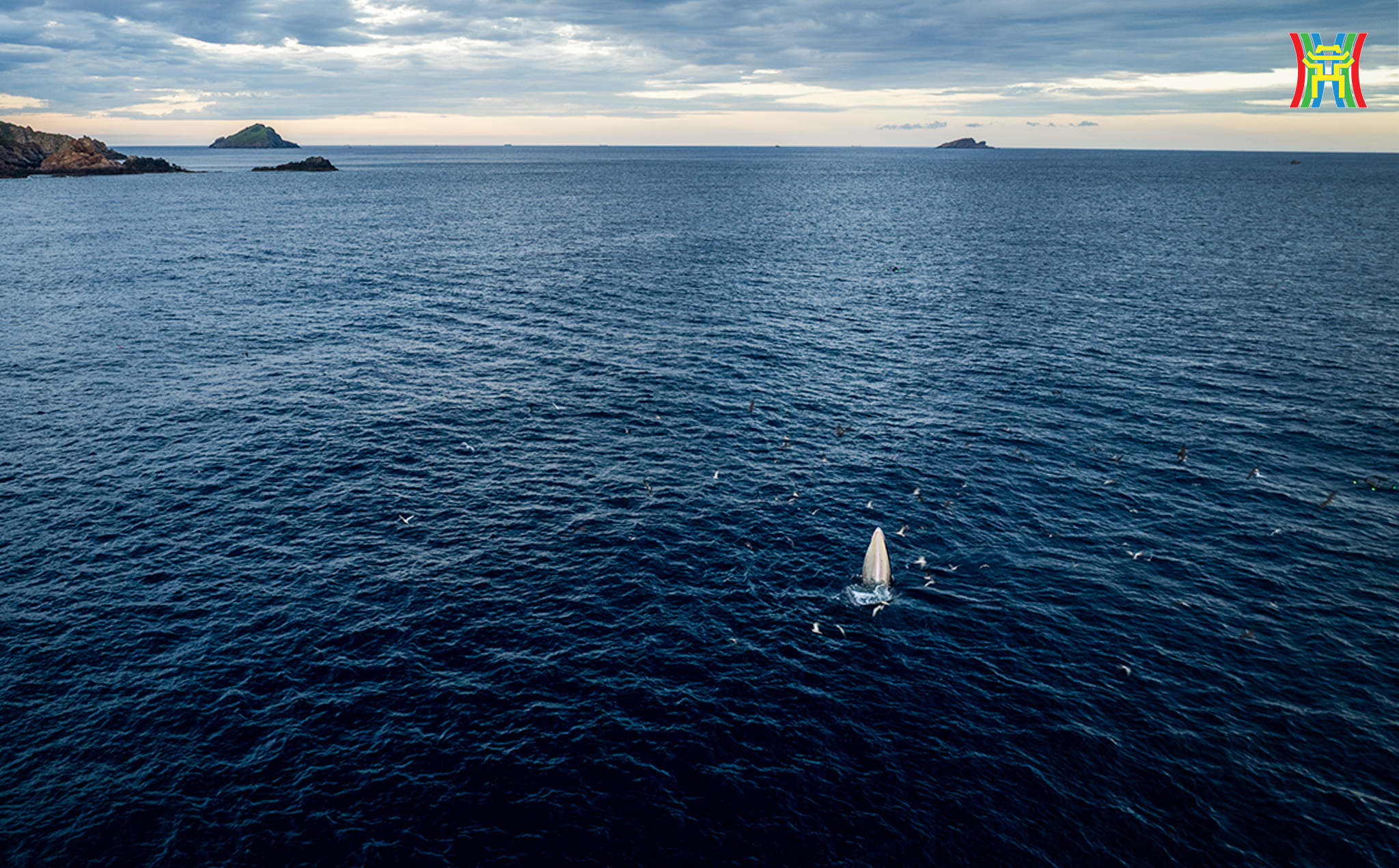 Đài PTTH Hà Nội