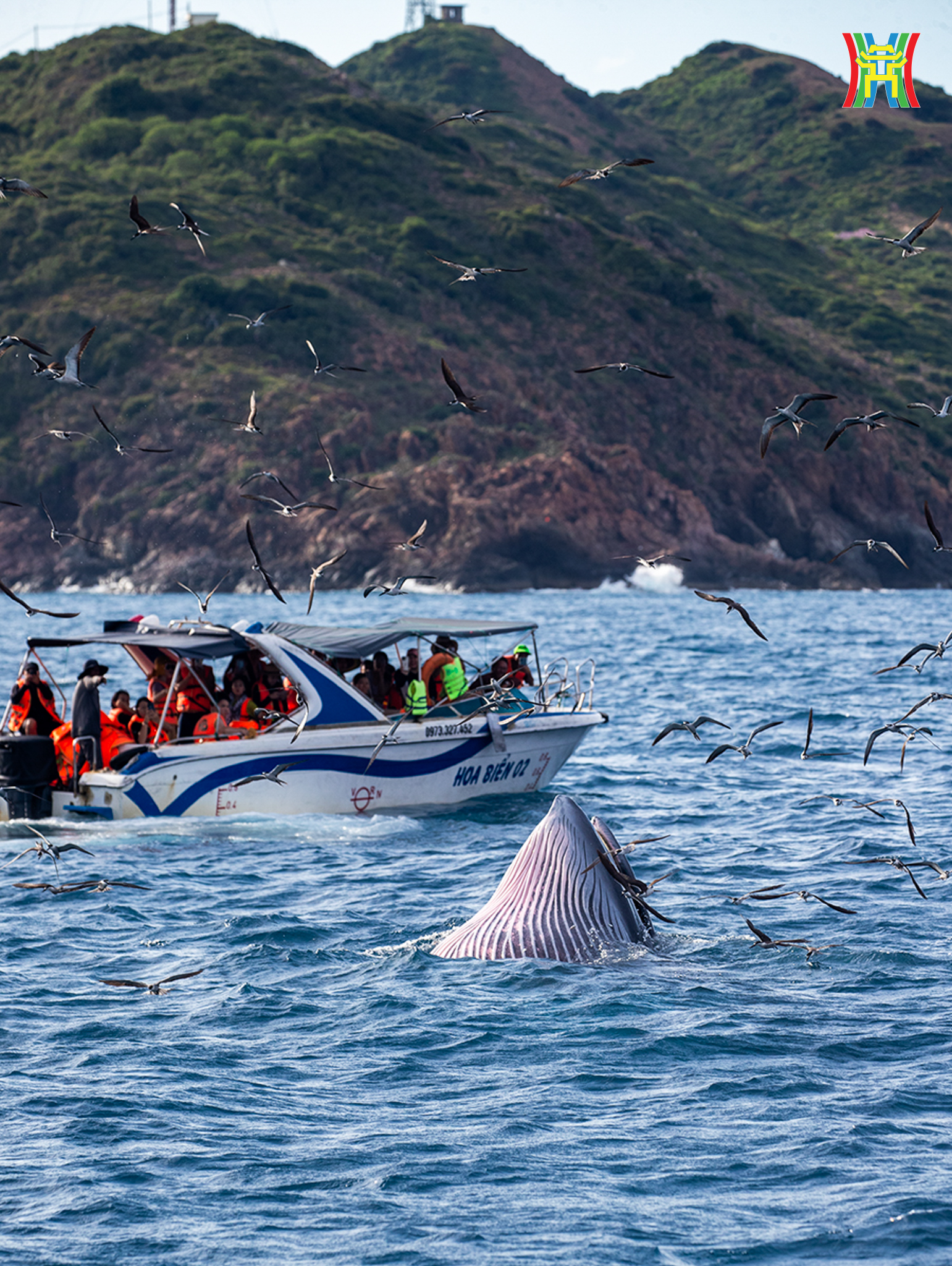 Đài PTTH Hà Nội