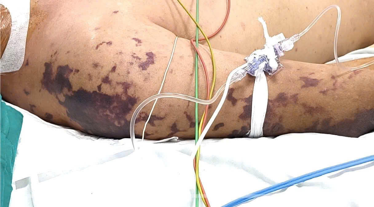 Đài PTTH Hà Nội