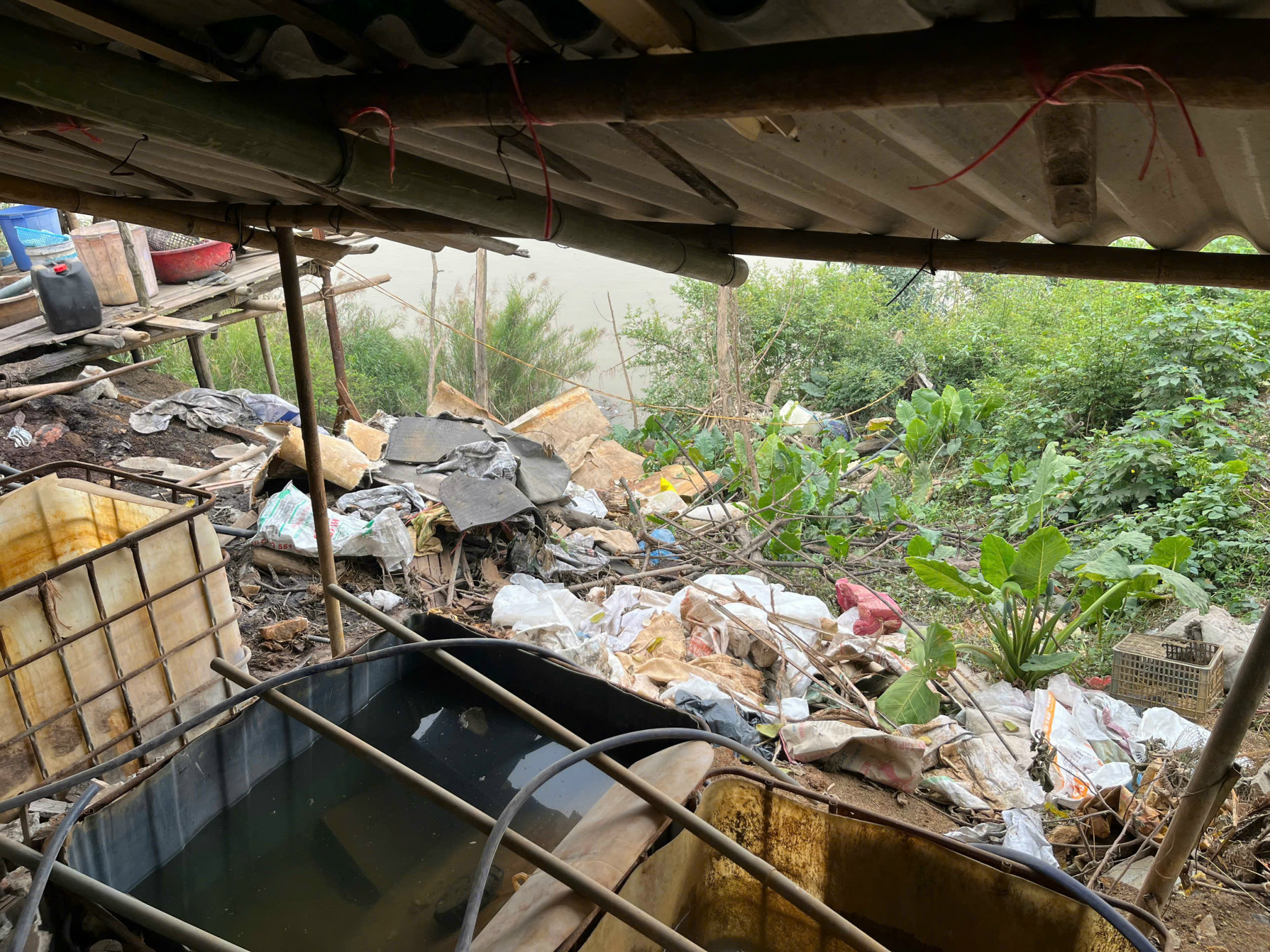 Đài PTTH Hà Nội