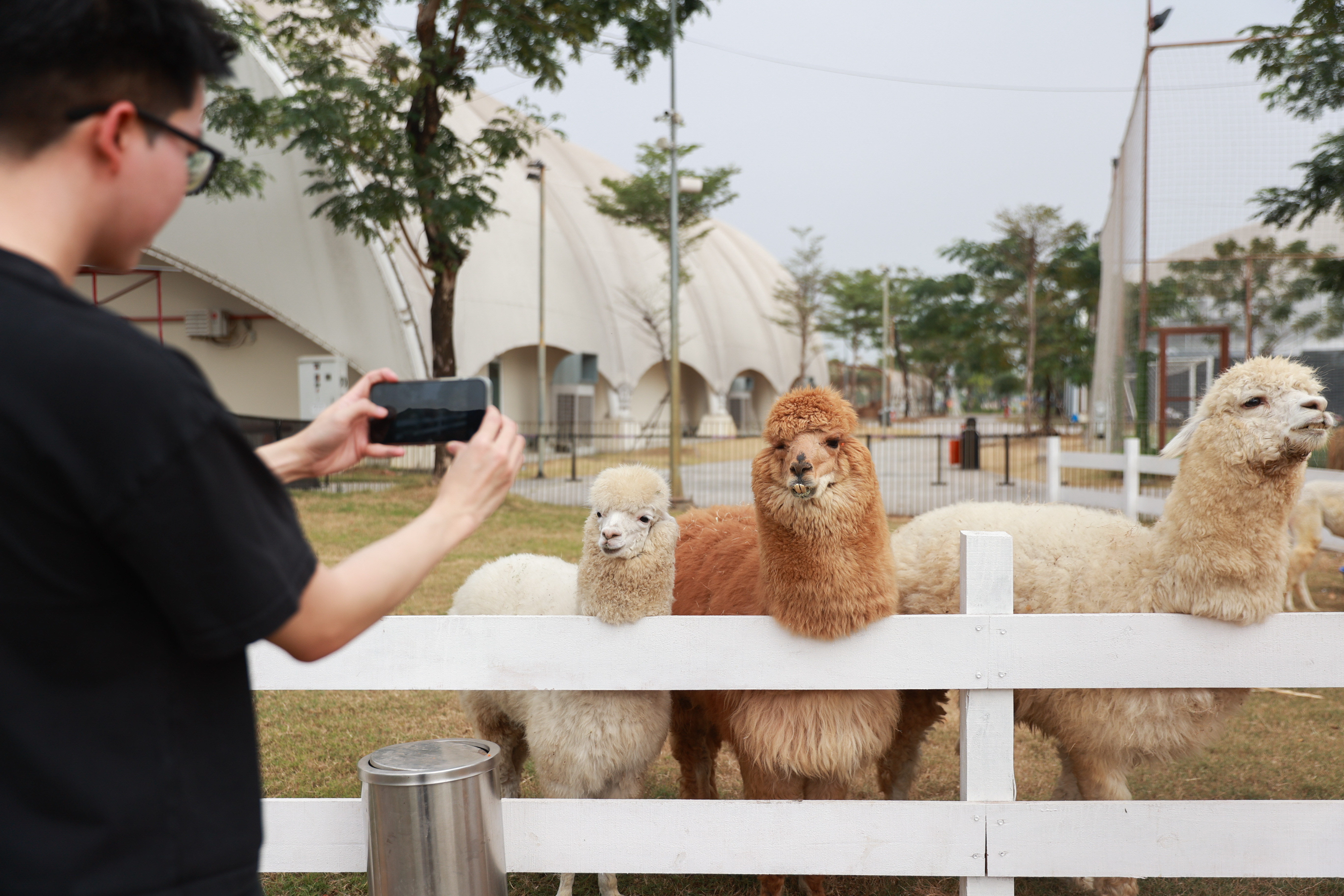Đài PTTH Hà Nội