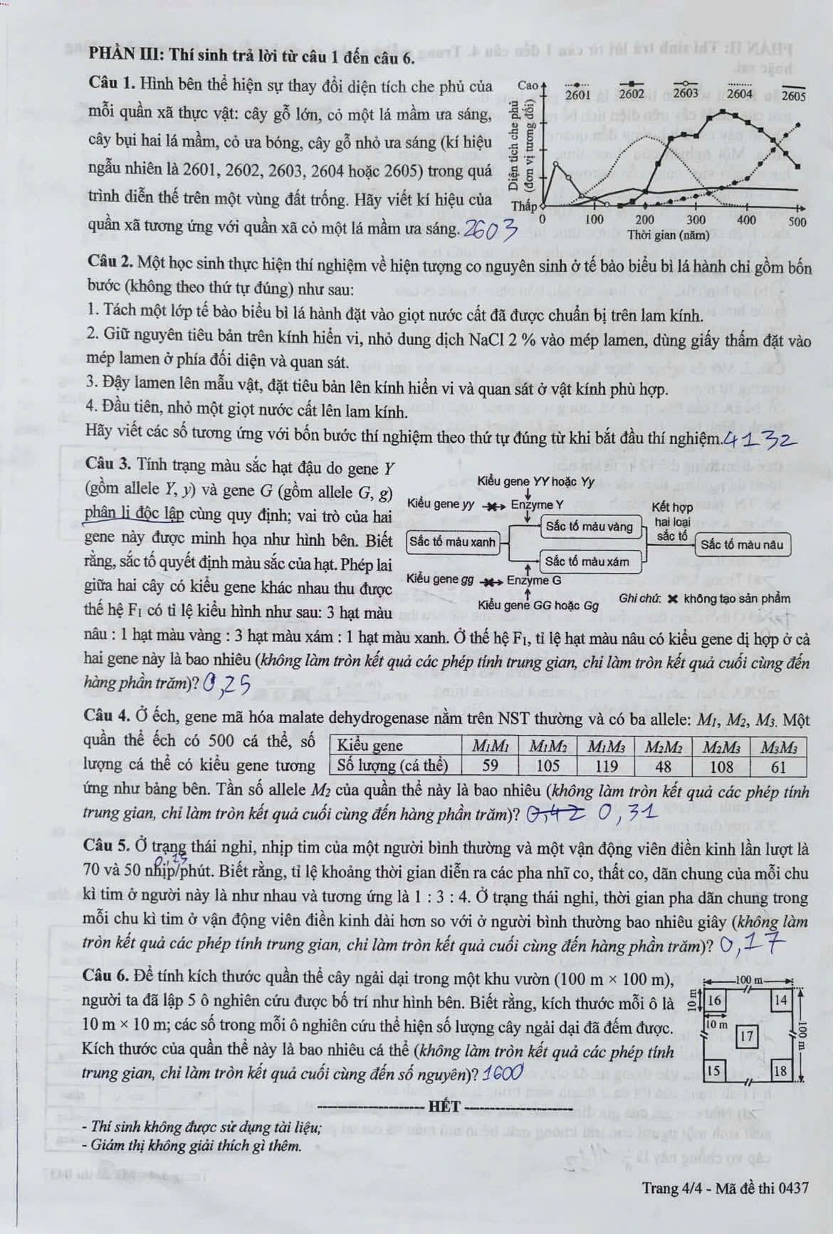 Đài PTTH Hà Nội