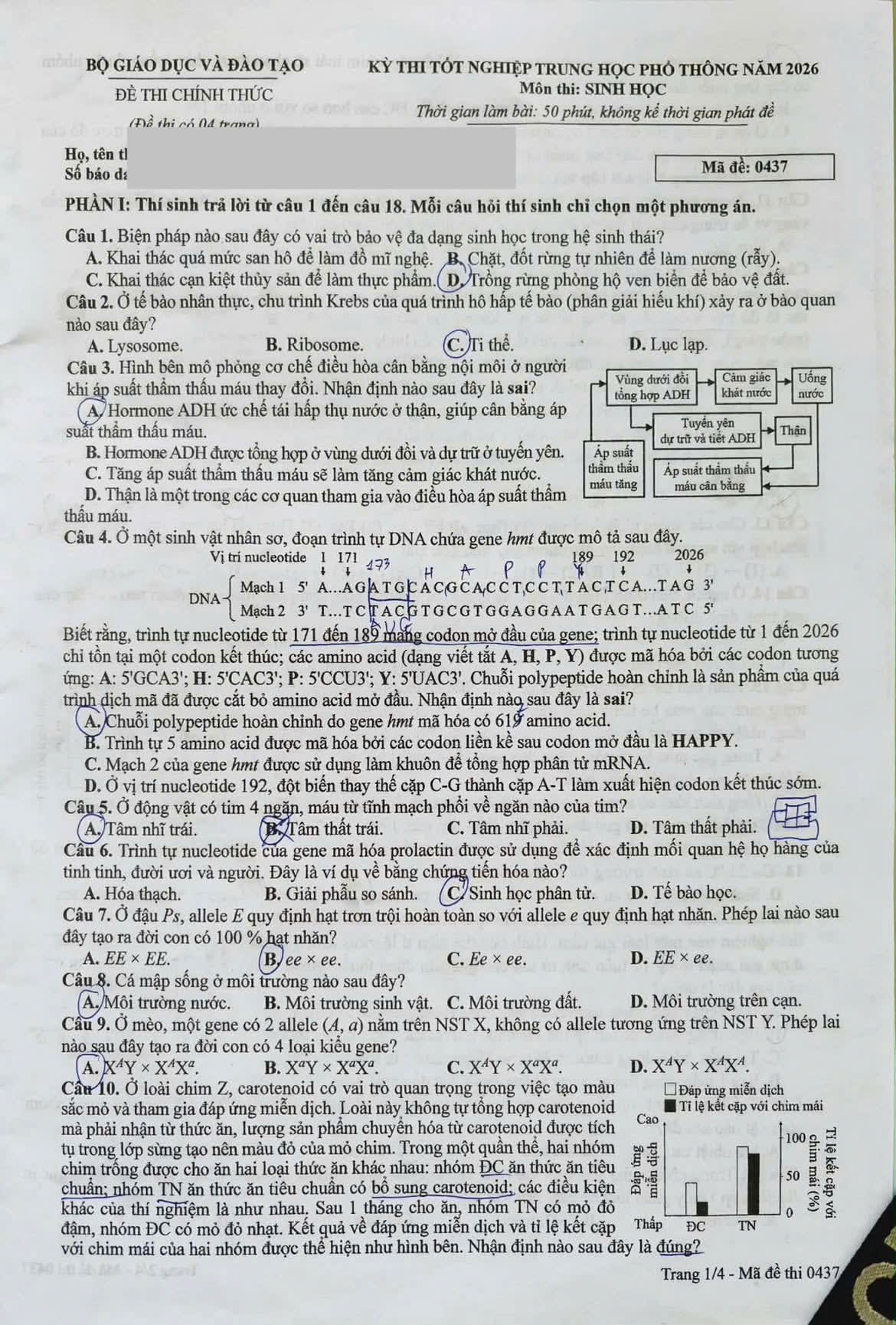 Đài PTTH Hà Nội