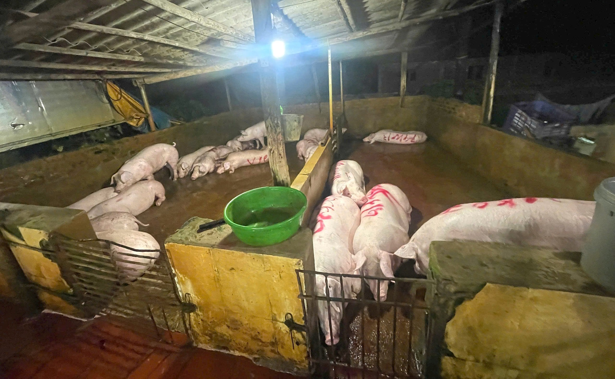 Đài PTTH Hà Nội