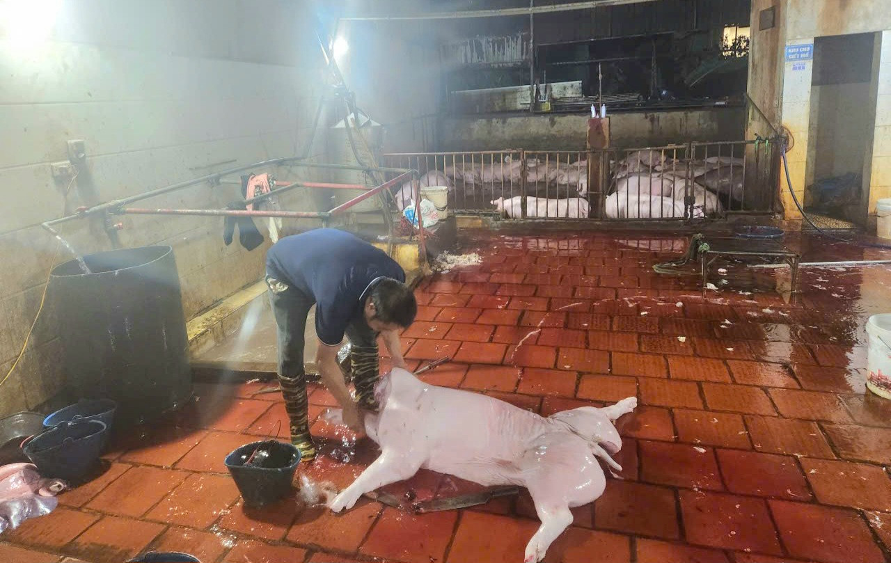 Đài PTTH Hà Nội