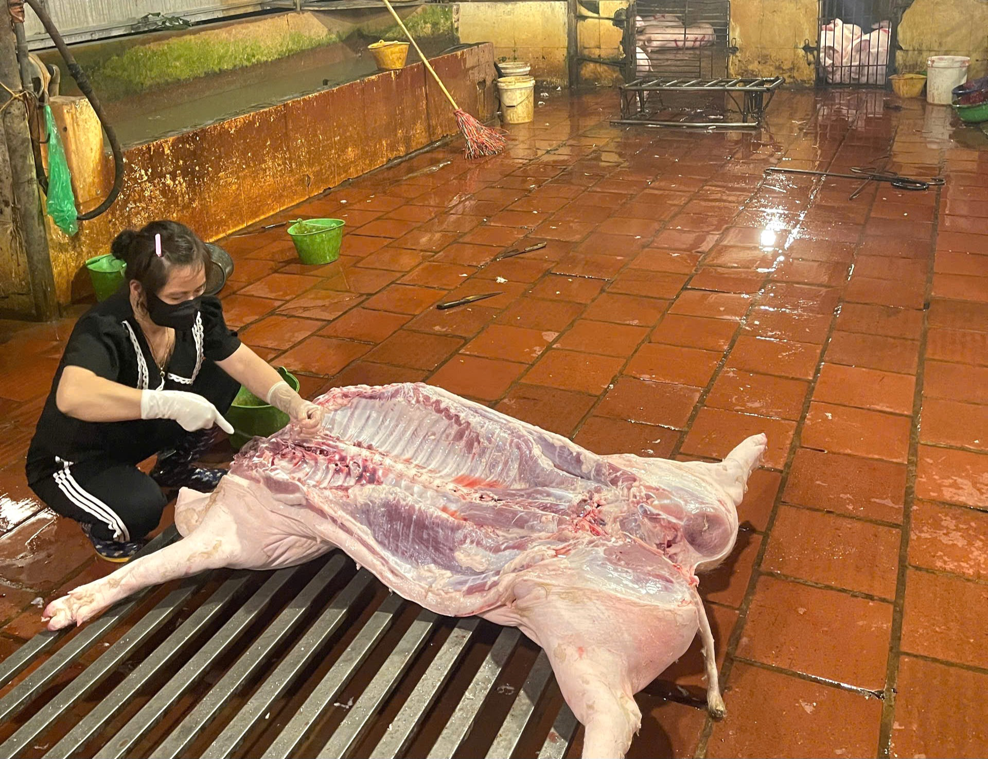 Đài PTTH Hà Nội