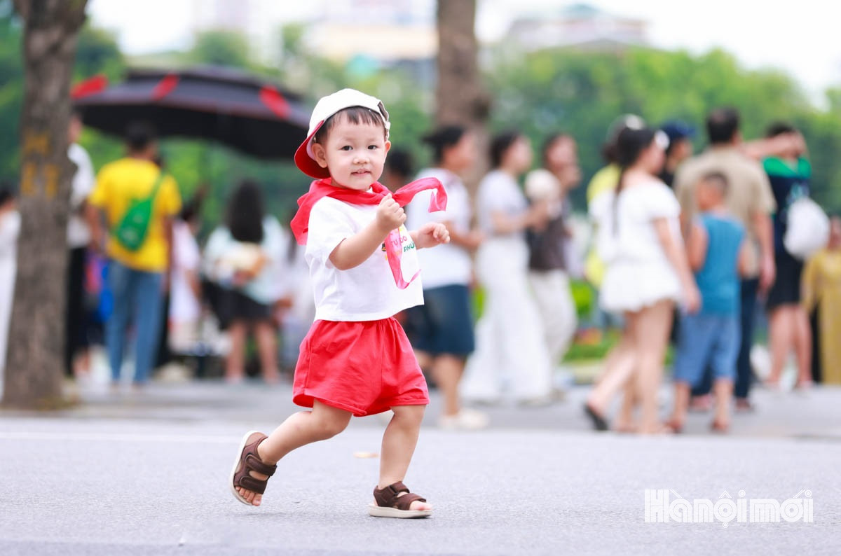 Đài PTTH Hà Nội