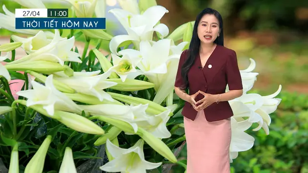 Dự báo thời tiết tối | 27/04/2025